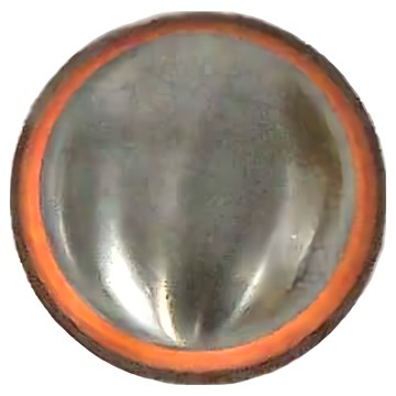 304不鏽鋼防蟲防臭地漏芯 雙向排水  大56 x 38mm  1個