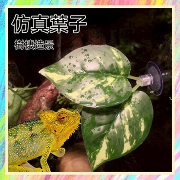 ★爬蟲新樂園★[台灣現貨]仿真葉子 樹棲爬蟲造景 變色龍 樹棲守宮 蜥蜴 雨林 造景