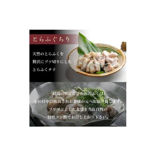 ふるさと納税 山口県 下関市 とらふぐ 刺身 ちり セット 天然 冷蔵 2~3人前 ふぐ刺し ふぐ鍋 ふぐひれ てっさ てっちり ふぐちり ふぐあら 切身 昆布 鍋 特製 …