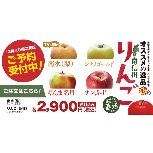 南信州りんご・梨　送料無料