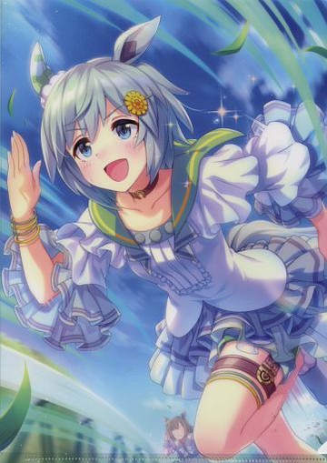 星雲天空(期待已久的大謀)A4清除文件vol.2賽馬娘Pretty Derby