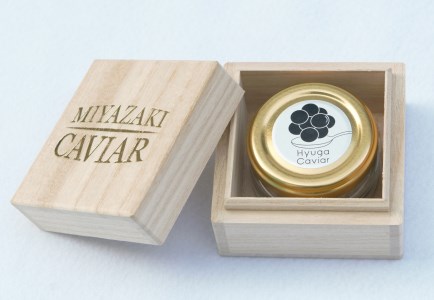 日向キャビア(Hyuga Caviar) 10g(冷凍・フレッシュキャビア) [宮崎キャビア 宮崎県 日向市 452060322]