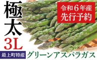 JA最上町特産グリーンアスパラ３Lサイズ１kg