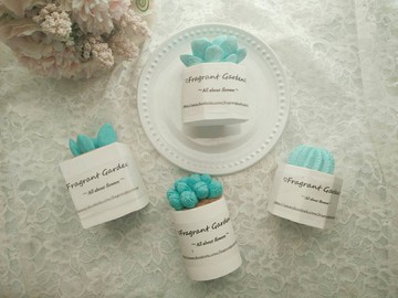 多肉盆栽擴香石 /長方款  /圓柱款 /八角款 /正方款 (無添加香氛)