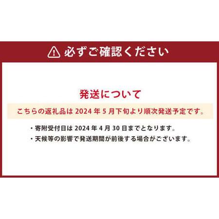 ふるさと納税  熊本県産 VS すいか 1玉(約6kg) 果物 くだもの フルーツ 西瓜 スイカ 熊本県産 熊本県