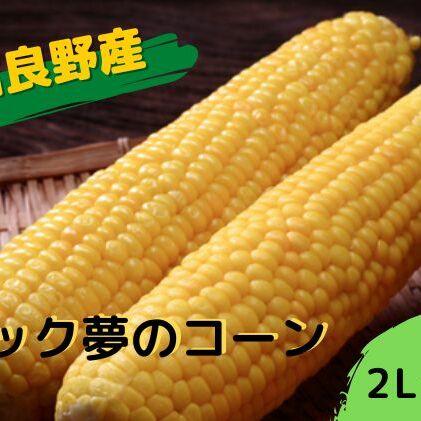 地元上富良野産 ビック夢のコーンとうもろこし15本セット