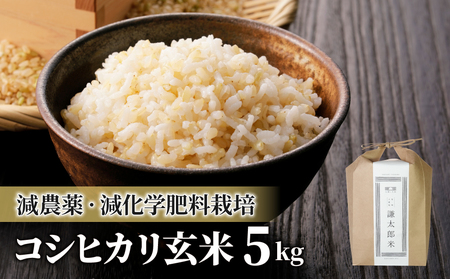 八重原産特別栽培米（減農薬・減化学肥料栽培）コシヒカリ玄米５kg