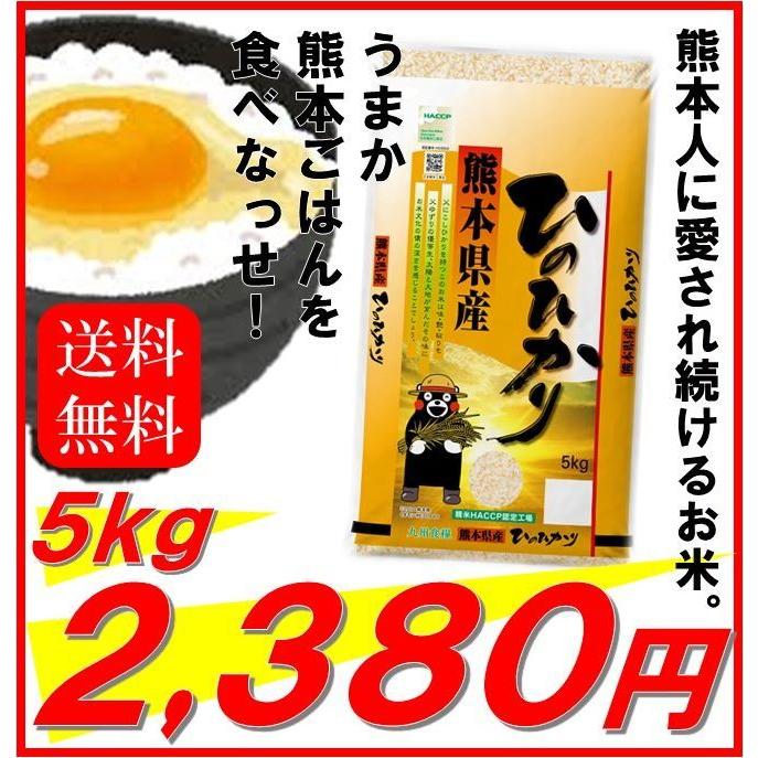 新米　米　お米　５ｋｇ　くまモン　熊本県産　ひのひかり　令和５年産　送料無料