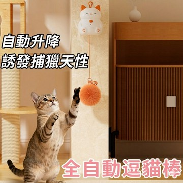 【出清特賣】招財貓自動逗貓器 多種安裝 桌面夾 吸盤固定 10分鐘定時 自動暫停 TypeC充電 貓爬架配件 寵物玩具