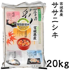 即購入OK♪【農家直送】宮城県産ササニシキ　上白米20kg【送料無料】