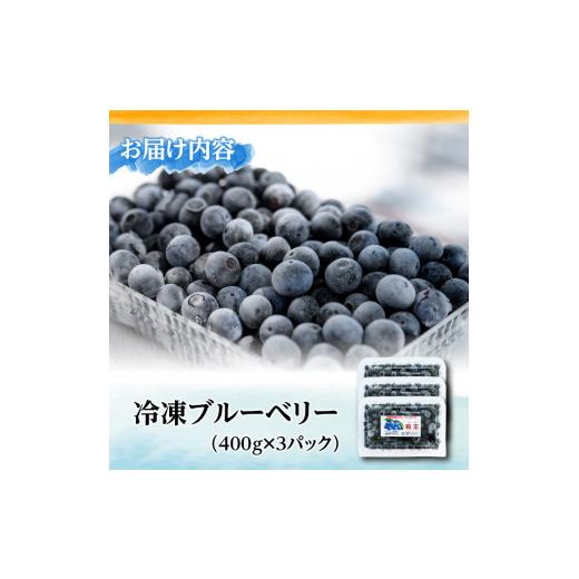 ふるさと納税 鹿児島県 鹿屋市 141-2 冷凍ブルーベリー 1.2kg［400g×3P］