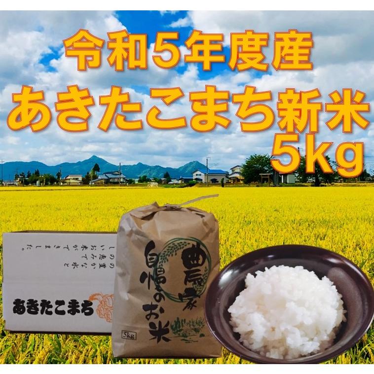 米 5kg 白米 大仙 大曲 秋田県産 新米   あきたこまち 令和5年度産 5kg