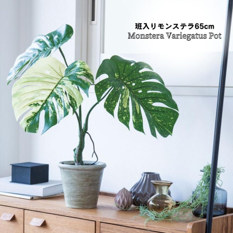 モンステラ 人工植物 フェイクグリーン 班入り リアル(モンステラバリエガータポット65cm) | LINEブランドカタログ