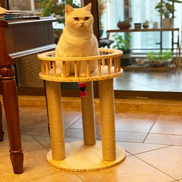 劍麻貓爬架實木四季通用貓窩跳臺貓抓板架貓咪玩具貓樹網紅小型