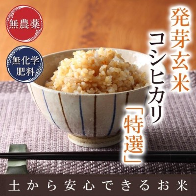 令和5年新米】減農薬 有機肥料使用 ササニシキ 30kg 新米 お米 宮城県