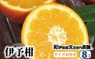 伊予柑(いよかん) 約8kg サイズおまかせ　※2023年1月中旬～2月中旬頃に順次発送予定(お届け日指定不可)　紀伊国屋文左衛門本舗