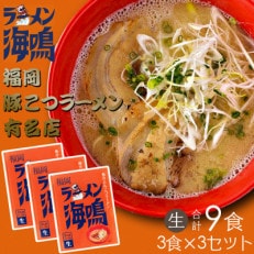 合計9食 福岡有名ラーメン店魚介とんこつラーメン 3食×3セット