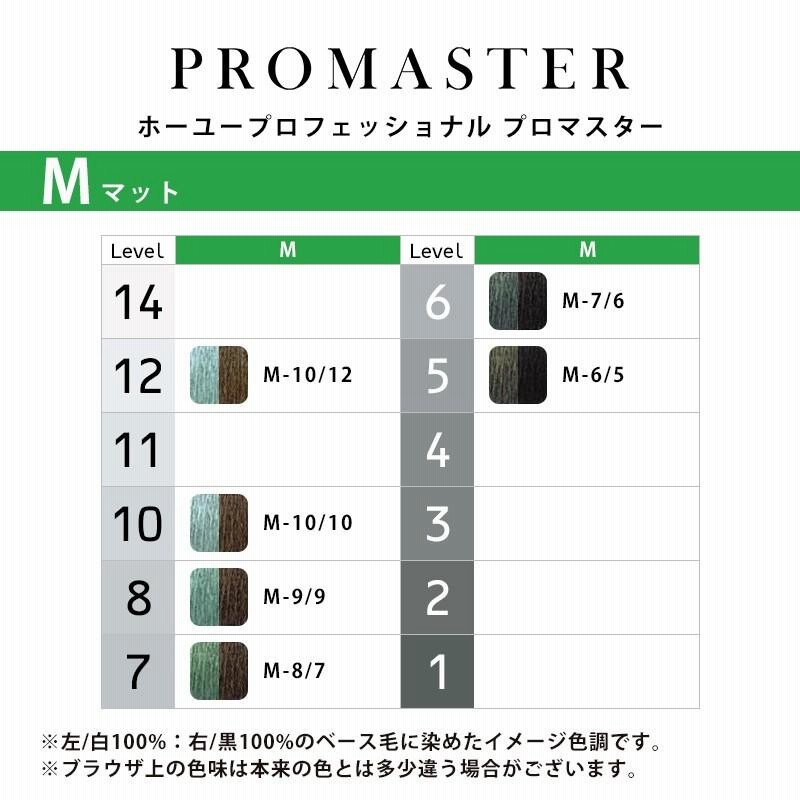 ホーユー　プロマスターカラー　まとめ売り カラー剤セット PROMASTER（ホーユー） ホーユー プロマスター オキシ 100ml
