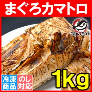 まぐろカマ 1kg 塩をふって焼くだけで本当に旨いまぐろのカマ。抜群に脂がのったまぐろカマトロをたっぷりボリュームで！【鮪 マグロ 鮪