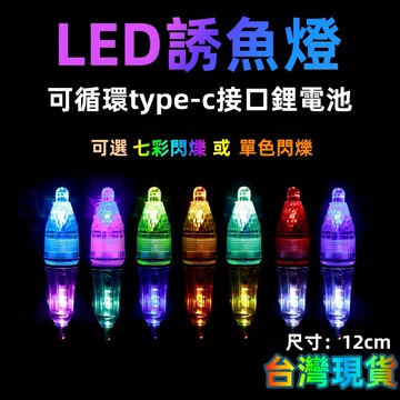 ⭐台灣出貨⭐ 七彩誘魚燈 type-c接口 鋰電 集魚燈深海水底誘魚燈 穿線式水燈 白帶燈 專用誘魚燈 深海敲底集魚燈