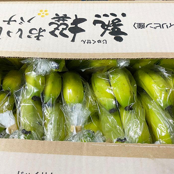 フィリピン産　スミフル　熟撰　おいしいバナナ　28房入り　約20kg （箱）