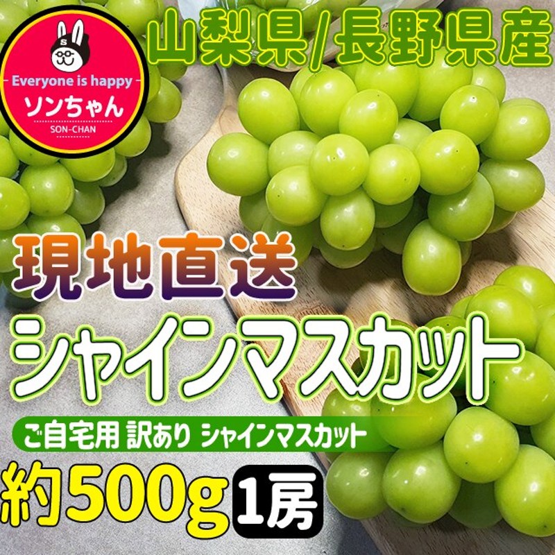 送料無料カード決済可能 山梨産シャインマスカット 2房 約1.2kg YAMANASHI PRIDEプレミアム fucoa.cl