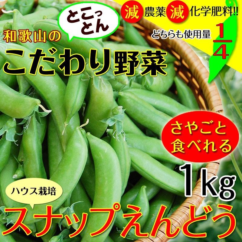 ご予約開始！ こだわりスナップえんどう1kg 匠の里紀州が育てる安心安全でさやごと食べれる、驚きの甘さのスナック豌豆を産地直送でお届け　(fy3)