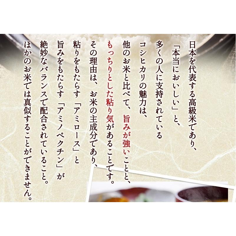 最高級コシヒカリ 令和4年福井県大野産 15kg ※米食味鑑定士鑑定済