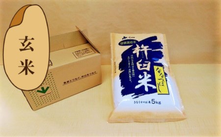 特別栽培「きなうす米」ななつぼし5kg×12回