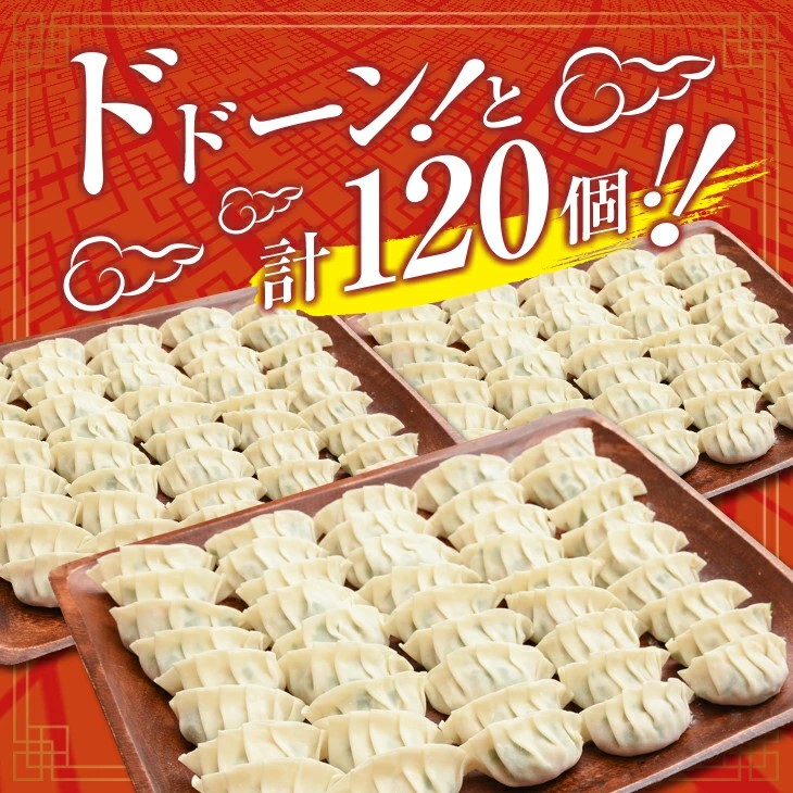 BC67-23_数量限定 自家製餃子 10個×12パック 計120個 惣菜 加工品 国産 おかず 食品 お肉 ぎょうざ 送料無料