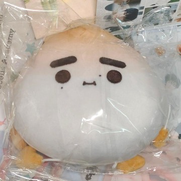 ⭐韓國代購正版⭐ENHYPEN樸成訓娃娃 訓崽小麪包雪島特典全新未拆 懂包裝新專