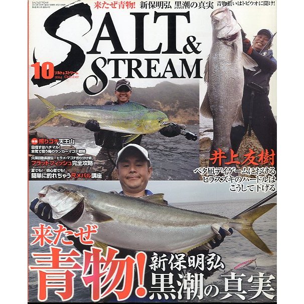 SALTSTREAM（ソルト＆ストリーム）　２０１４年１０月号　　＜送料無料＞