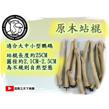 鸚鵡木站棍 啃咬玩具 鸚鵡磨牙 25公分長 鸚鵡通用