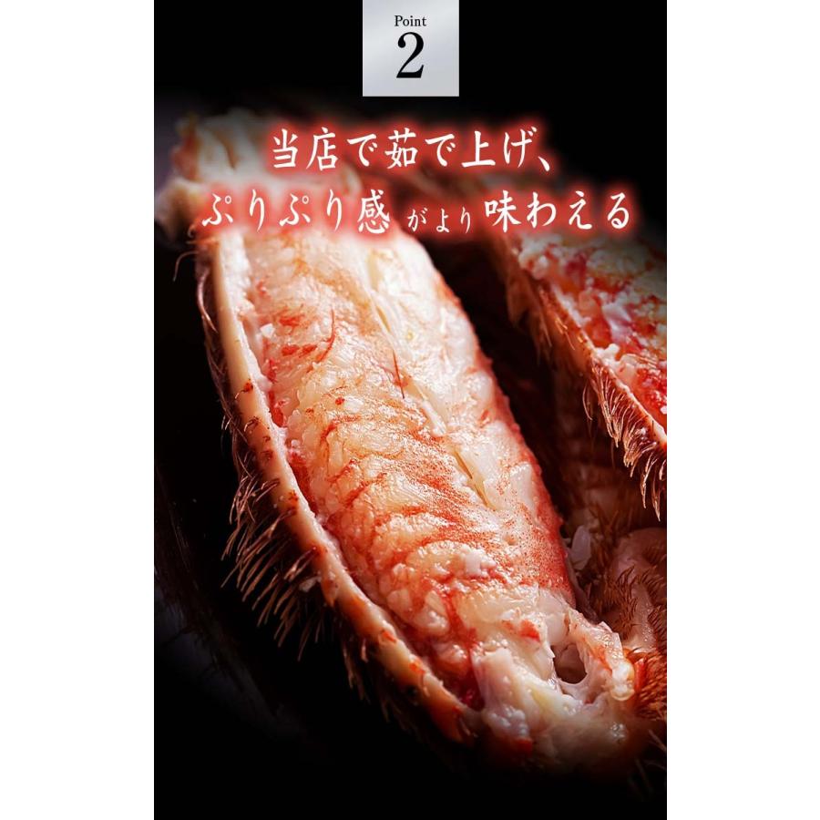 北海道産 活毛がに　500ｇ  中型　毛ガニの美味しさを味わうなら、未冷凍の活け毛蟹。カニ味噌 かに通販 カニお取り寄せ