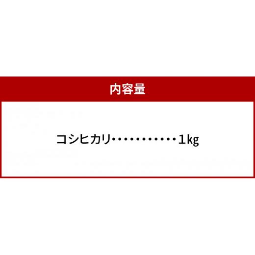 ふるさと納税 滋賀県 守山市 肥料屋厳選近江米コシヒカリ１kg