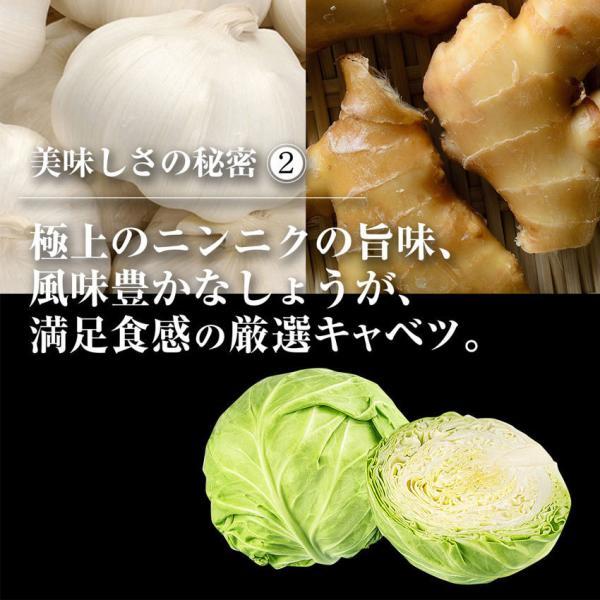 餃子 取り寄せ 96個入 冷凍食品  業務用  生餃子 点心 ギフト