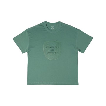 saeflait pattern T/ Pillow