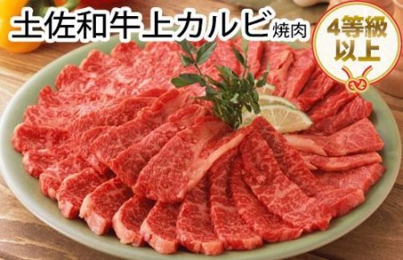 土佐和牛上カルビ焼肉500g BBQ 牛肉 バーベキュー 高知県産