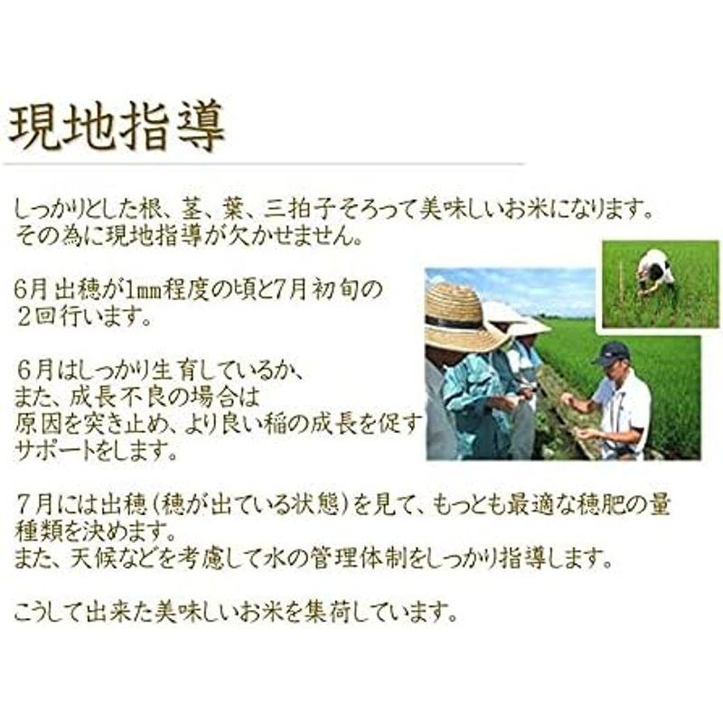 令和4年産 新潟県産 こしいぶき 玄米 5?×5袋 玄米選別済