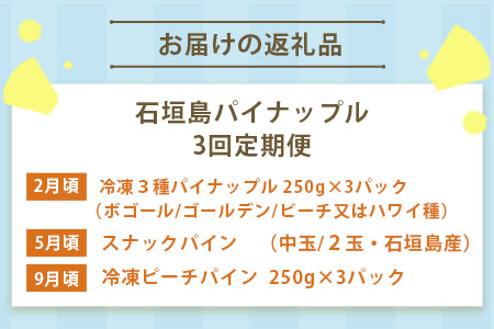 石垣島産パイナップル3回定期便　KP-17