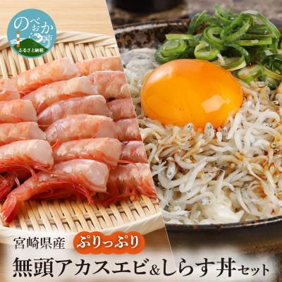 ふるさと納税 延岡市 ぷりっぷりの日向灘甘エビとしらす丼5食分セット　宮崎県日向灘どれ