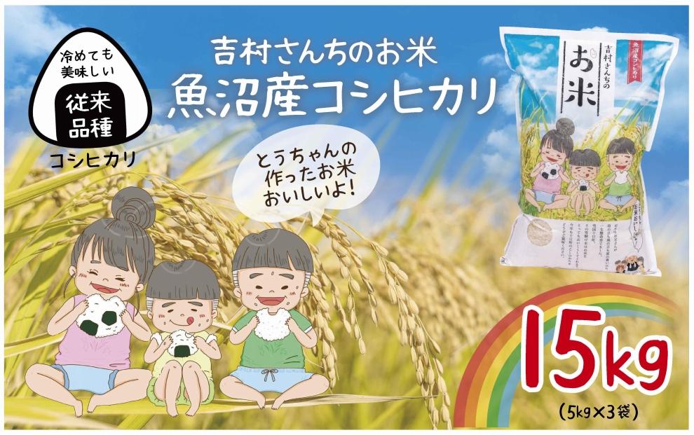 ｜従来品種｜ 魚沼産 コシヒカリ 5kg ×3袋 計15kg 米 こしひかり お米 コメ 新潟 魚沼 魚沼産 白米 送料無料 新潟県産 精米 産直 農家直送  お取り寄せ 吉村さんちのお米 新潟県 十日町市 DE297