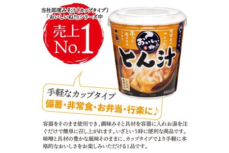 （WR73）神州一味噌 おいしいね！！ とん汁  60食(1食×6個×10） カップとん汁 インスタントとん汁 即席とん汁 本格的とん汁 人気とん汁 カップ味噌汁 インスタント味噌汁 即席味噌汁 簡単味噌汁 人気味噌汁 本格的味噌汁