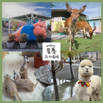 2026宜蘭星夢森林劇場門票 兒童 優惠票(MO26)