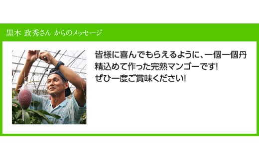 宮崎県産完熟マンゴー「おひさまハニーマンゴー」２Ｌ（大）×２玉 [E3305]