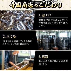 ふるさと納税 1387 大隅特産うなぎ蒲焼３尾（510ｇ） 鹿児島県鹿屋市