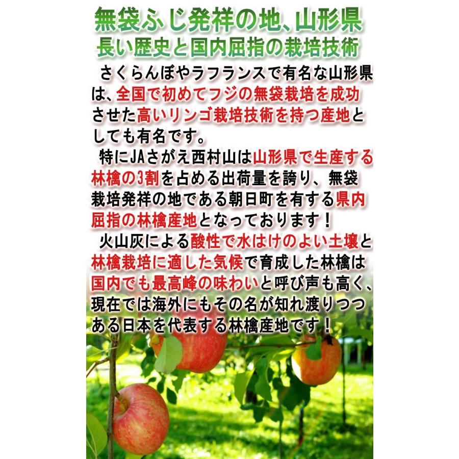 はるか 蜜入り黄りんご 約3kg 8〜12玉入り 特秀品 山形県産 贈答品 JAさがえ西村山 高い糖度と酸味の少ない果肉！国内屈指の林檎産地で育った味わい抜群のリンゴ