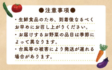 地元の農家さんが収穫した旬のお野菜 詰め合わせセット 地元の農家さんが収穫した旬のお野菜 詰め合わせセット 野菜定期便 野菜詰め合わせ   南島原市    ミナサポ[SCW047]