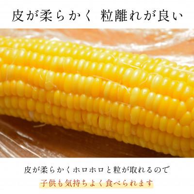 ふるさと納税 甲府市 Inakakara　ドルチェドリーム6本