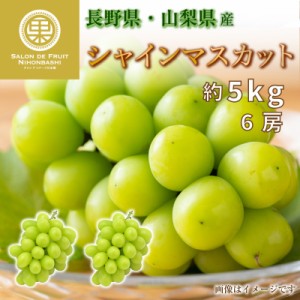 [最短順次発送]   シャインマスカット 6房 約5kg 長野県 山梨県産 マスカット ぶどう 高糖度 ギフト 贈答用 通販 秋の味覚 秋ギフト  果